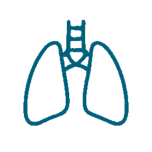 Ներզատաբանություն
